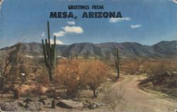 Desert Roadway, Mesa, Arizona Postcard