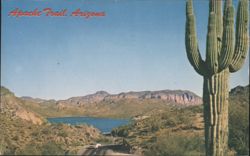 Apache Trail, Arizona Postcard