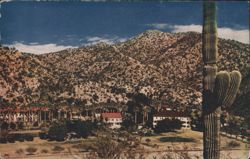 Castle Hot Spring, Arizona Postcard