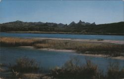Colorado River & Needles Mountains, AZ-CA Border Postcard