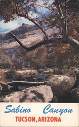 Sabino Canyon Postcard