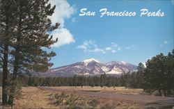San Francisco Peaks Postcard