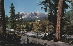 San Francisco Peaks near Flagstaff, Arizona Postcard