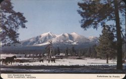 San Francisco Peaks Near Flagstaff, Arizona Postcard