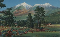 San Francisco Peaks, Flagstaff, Arizona Postcard