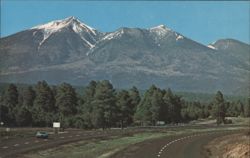 San Francisco Peaks Postcard