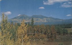 San Francisco Peaks Near Flagstaff, Arizona Postcard