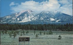 San Francisco Peaks, Northern Arizona Postcard