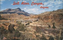 Salt River Canyon, Arizona Postcard
