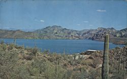 Saguaro Lake Postcard