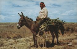Hopi and His Burro Postcard