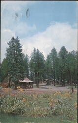 Hannagan Meadow Lodge and Cabins Postcard
