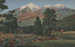 San Francisco Peaks, Flagstaff, Arizona Postcard