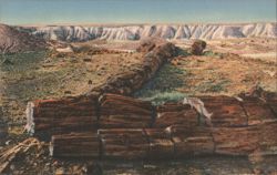 The Twin Sisters, Petrified Forest Postcard
