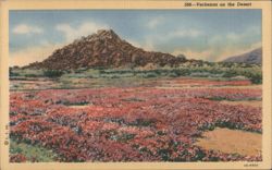 Verbenas on the Desert Postcard