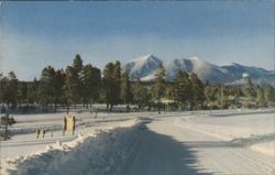 San Francisco Peaks near Flagstaff, Arizona Postcard
