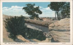 The Natural Bridge, Petrified Forest, Arizona Postcard