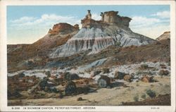 In Rainbow Canyon, Petrified Forest, Arizona Postcard