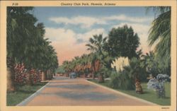 Country Club Park, Phoenix, Arizona Postcard