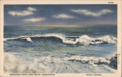 Greetings from Long Beach, Washington Postcard