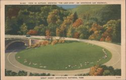 1945 Autumn Loop-Over Newfound Gap Smoky Mountains Postcard Postcard