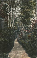 Footpath around Green Mt., Bar Harbor, Me. Postcard