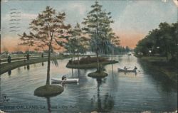 The Pond - City Park Postcard
