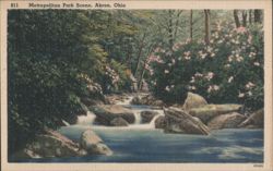 Metropolitan Park Scene Postcard