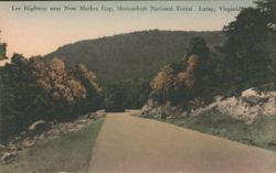 Lee Highway near New Market Gap, Shenandoah National Forest Postcard