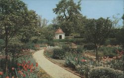 The Flower Garden at Mount Vernon, Virginia Postcard