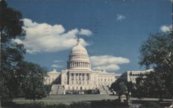 The Capitol, Washington, D. C. Postcard