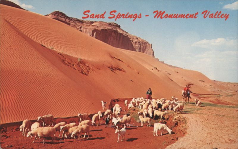 Sand Springs - Monument Valley, Navajo and Sheep Arizona