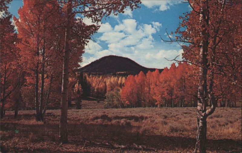 Fall Colors Near Cedar Breaks, Utah