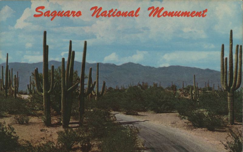 Roadway Through Saguaro National Monument, Tucson, AZ Arizona