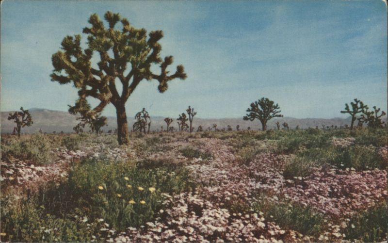 Joshua Trees and Wildflowers in Desert Landscape Art Outwater