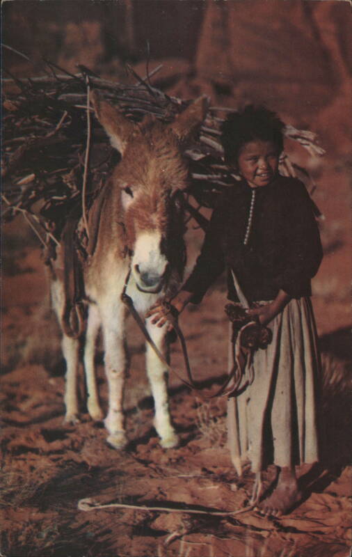 Navajo Lass and Her Burro Jack Breed Native Americana