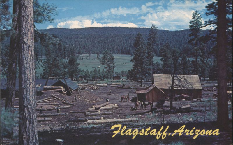 Lumber Mill at Flagstaff, Arizona Bob Bradshaw