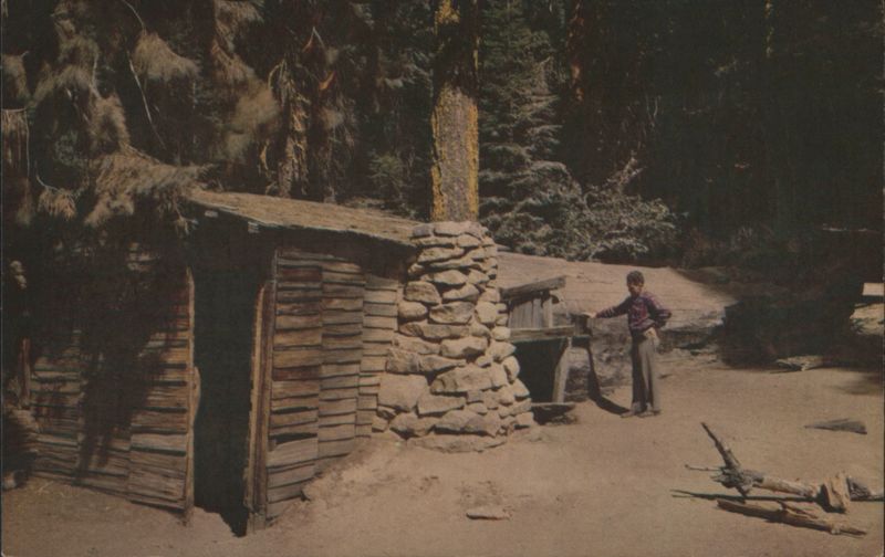 Tharp's Log, Sequoia National Park California JOSEF MUENCH