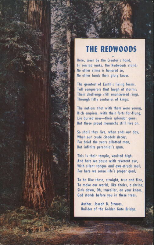 The Redwoods Poem by Joseph B. Strauss Poems & Poets