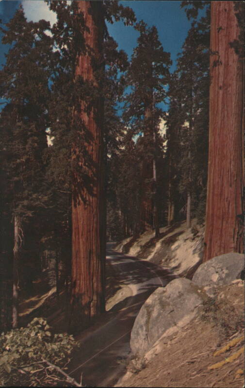 The Sentinels, Generals Highway, Sequoia National Park California