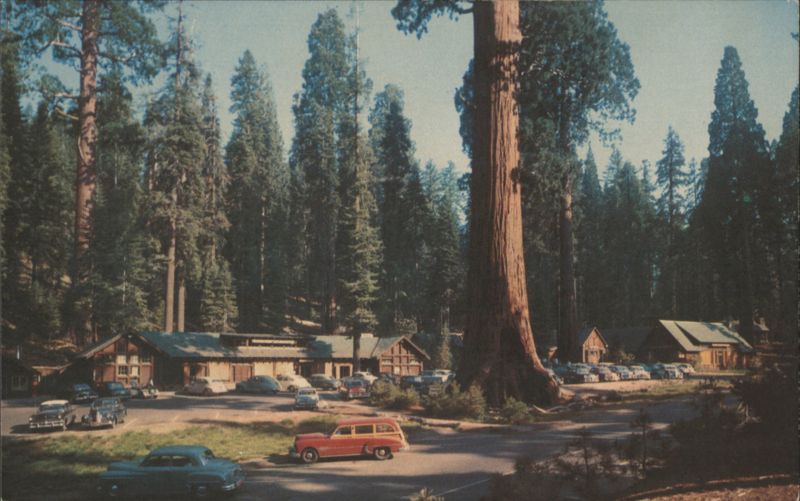 Giant Forest Village, Sequoia National Park California