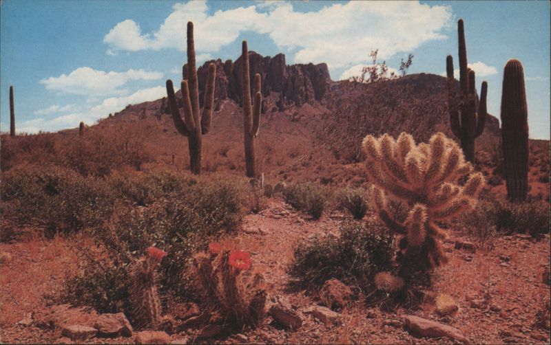 The Colorful Desert Free Lance Photographers Guild, Inc.