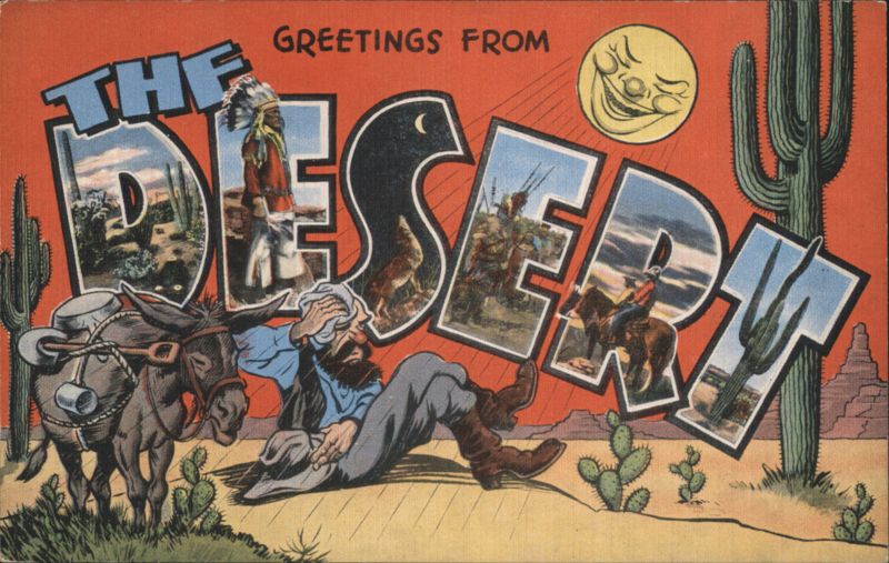 Greetings from The Desert - Large Letter Scenes Cowboy Western