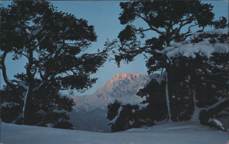 Wornerspitze, Karwendel Chain, Early Evening Snow GERHARD KLAMMET