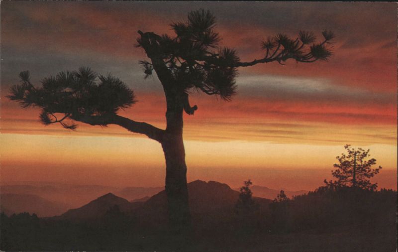 Sierra Sunset from Beetle Rock, Sequoia National Park California