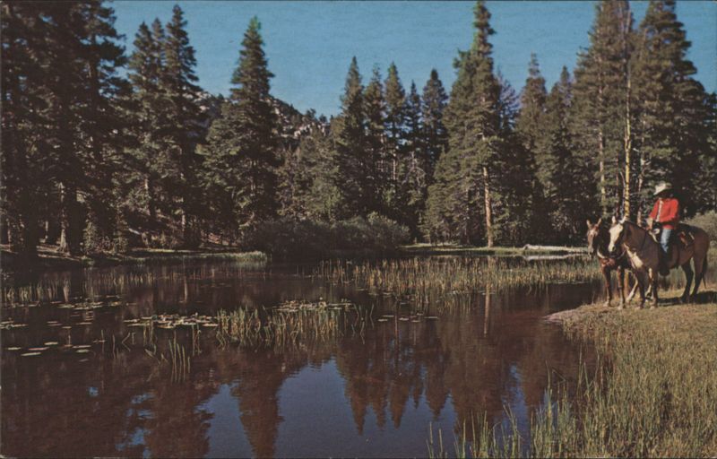 Fishing, Upper Piute Meadow, High Sierras, Tower Peak California