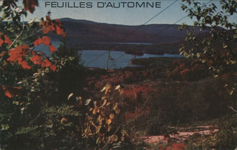Feuilles d'Automne, Laurentian Mountains, Quebec QC Canada