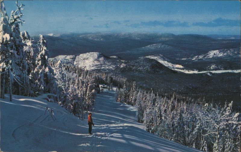 Skier's View of Quebec's Winter Landscape QC Canada