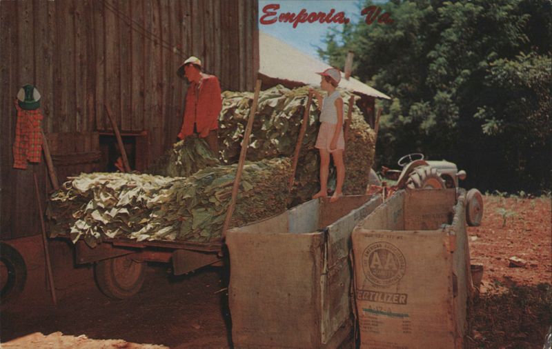 Filling Tobacco Barn, Emporia, VA Virginia Roanoke Photo