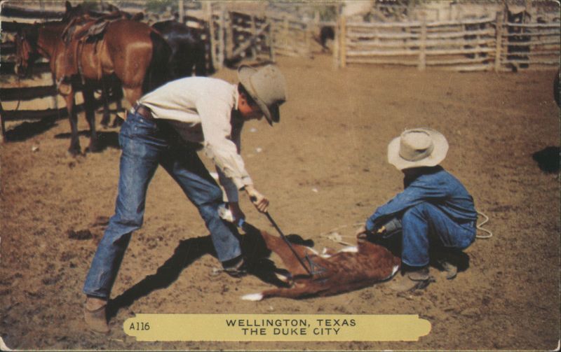 Cowboys Branding Calf, Wellington, TX Texas